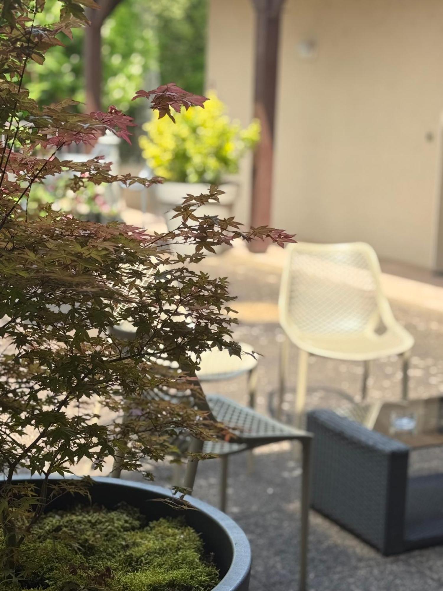Le Victor Hugo - Hotel Et Restaurant - Logis Hotels Saint-Céré Dış mekan fotoğraf